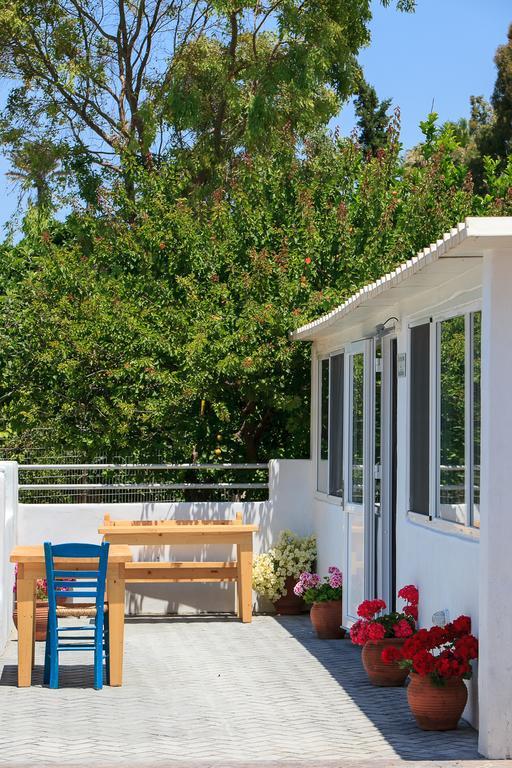 Ampeli Apartments Πάρος Εξωτερικό φωτογραφία